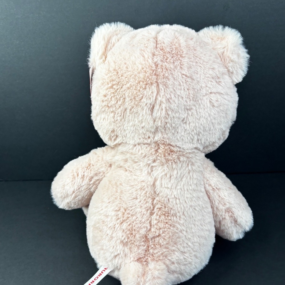 Aurora World Hugga Wug Soft Sitting Bear Pink Plush Stuffed Animal 13 inch NWT - Picture 3 of 6